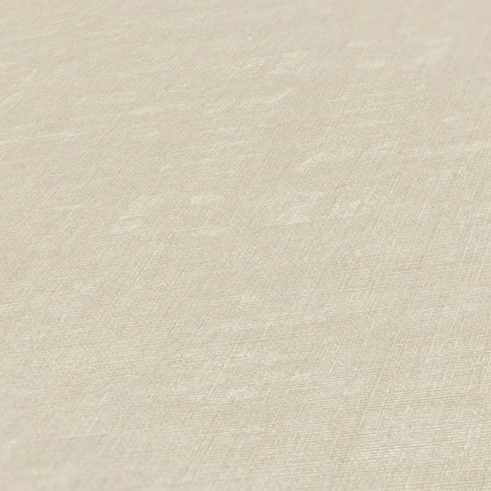             Vliestapete einfarbig mit Struktureffekt – Grau, Beige
        