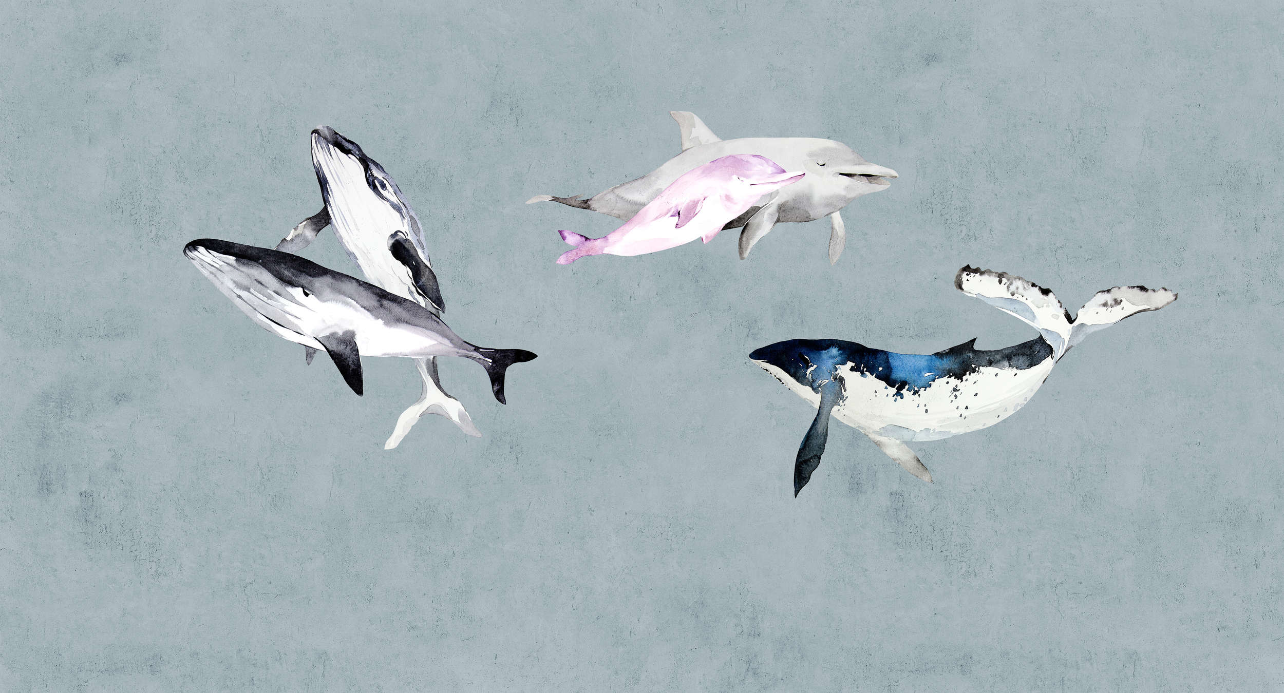 Tier, Vogel, Fliegend, Leben im Meer, Hai