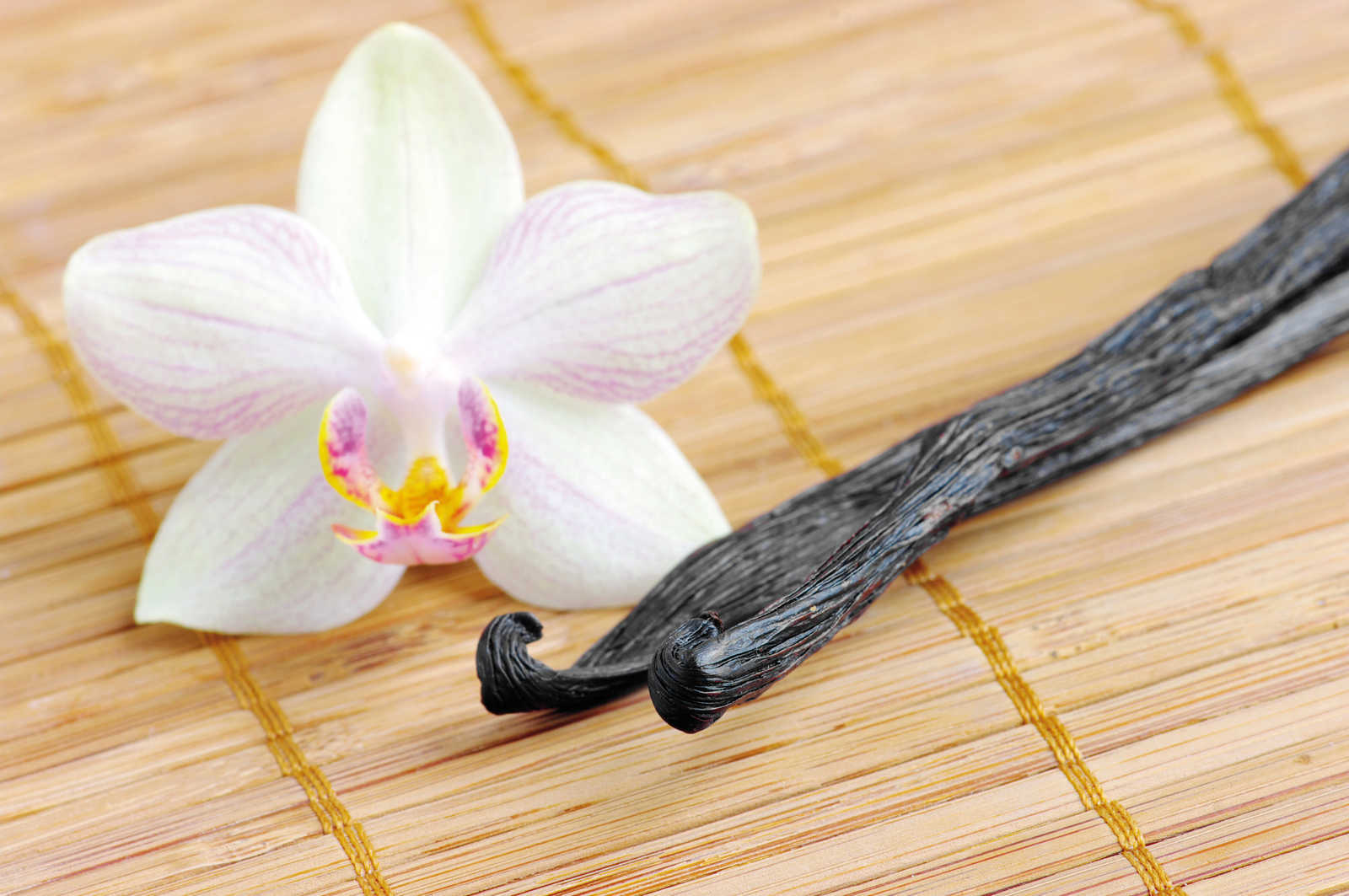 Sandelholz und Vanille Duftkerze mit sinnlichem Duft – 110g
