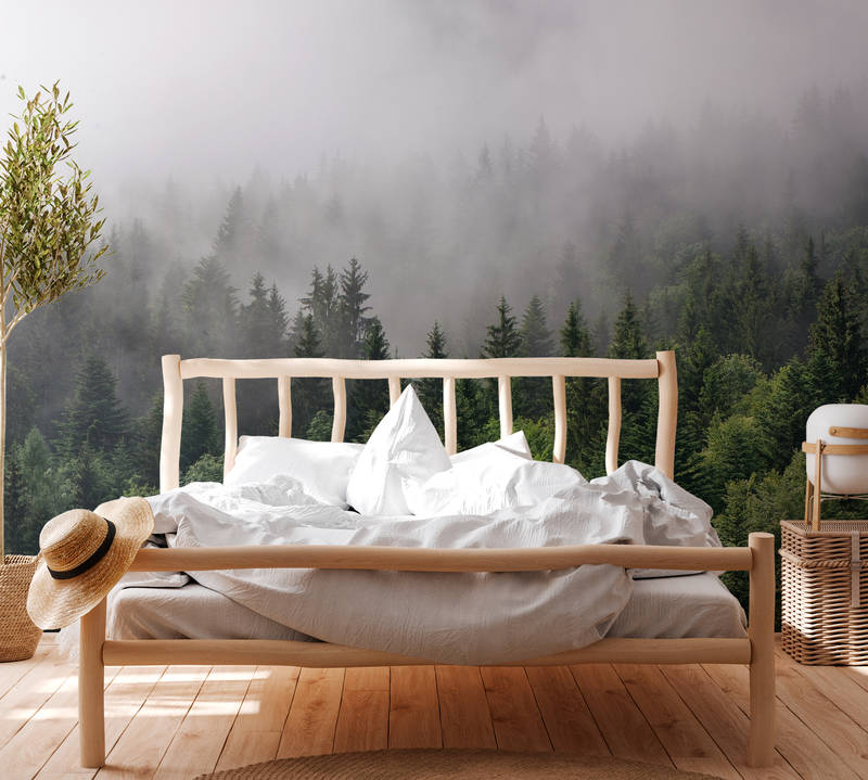             Wald von oben an einem nebeligen Tag – Grün, Weiß
        