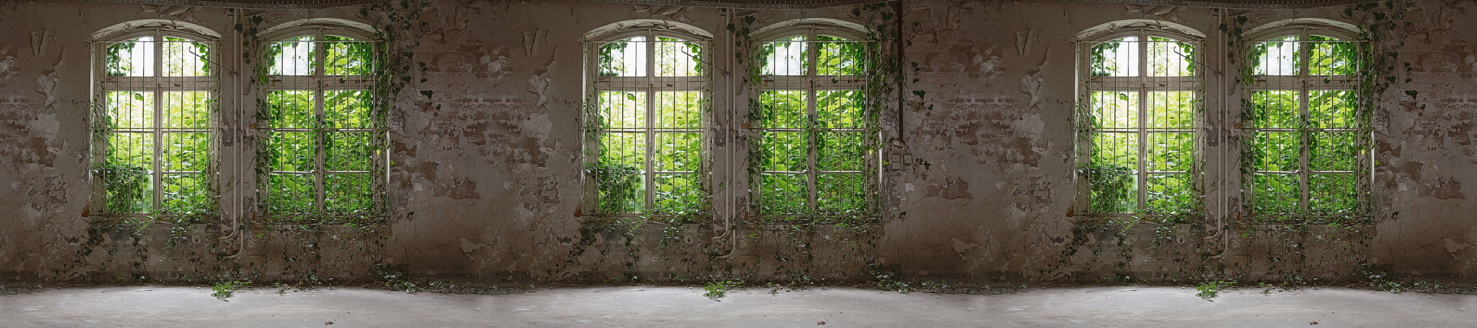 Ruine, Fenster, Pflanzen, Steinhaus, Innenraum