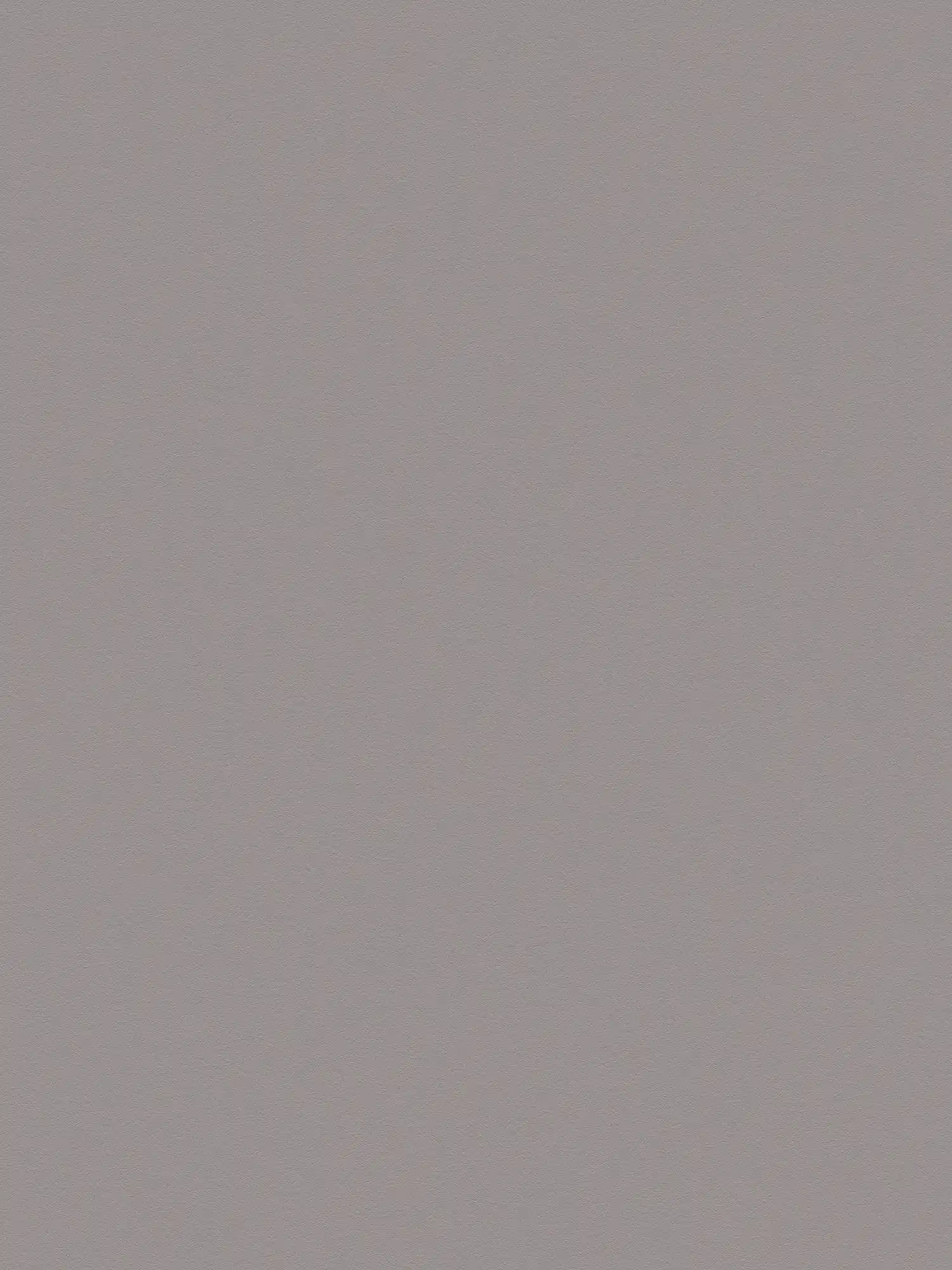         Non-woven wallpaper dark grey with smooth surface - grey
    