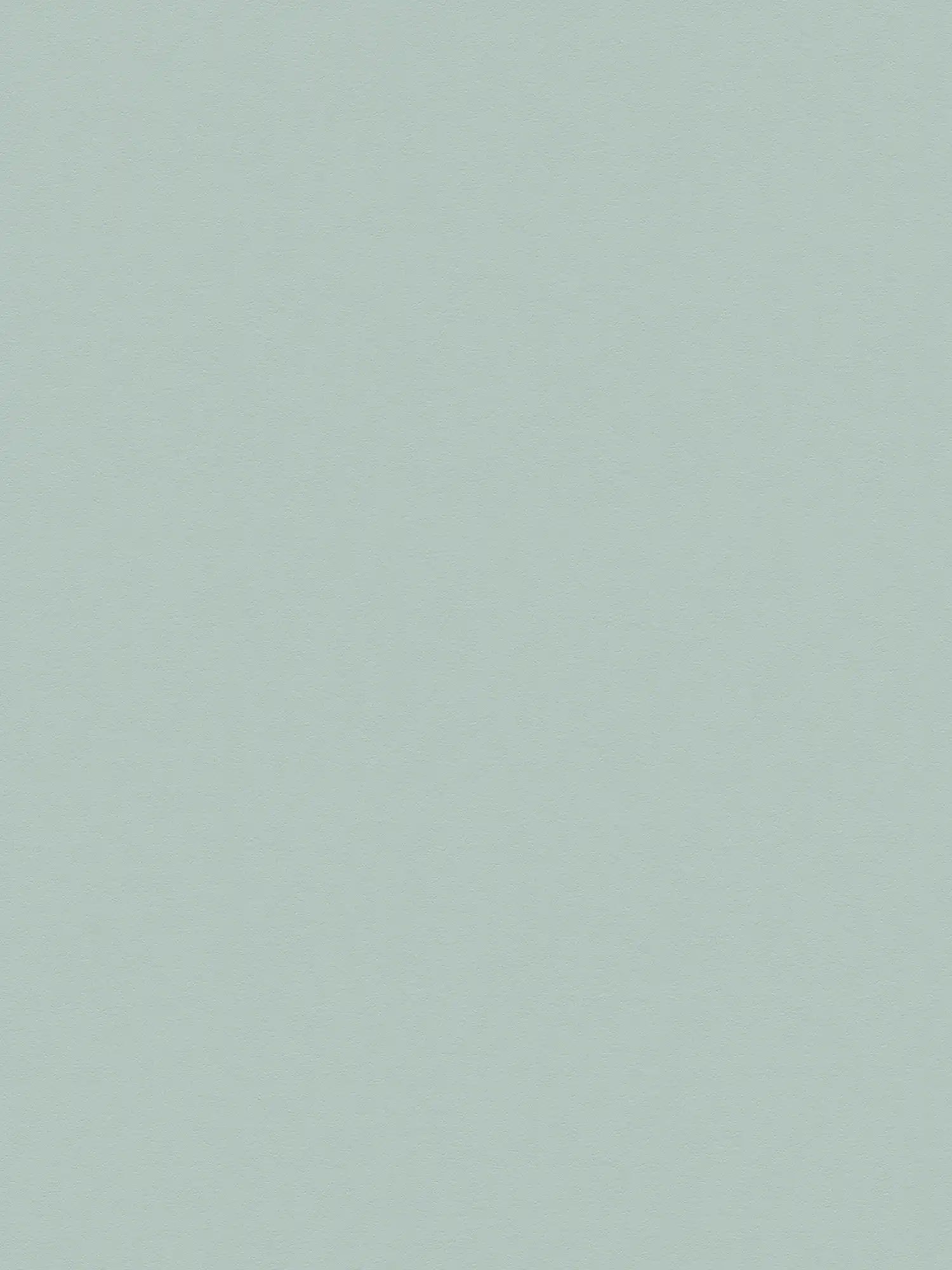         Plain wallpaper with subtle structure in textile look - green
    