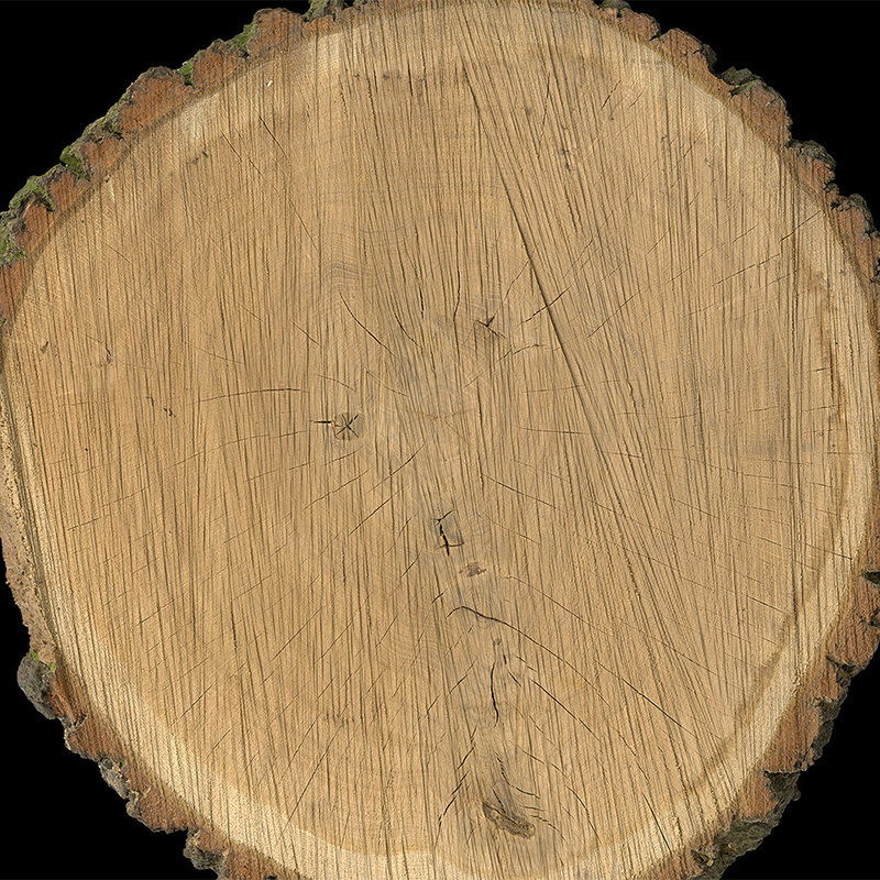         Naturdesign Fototapete – Vliestapete in 3D Optik mit Baumscheiben Motiv – Braun, Schwarz
    