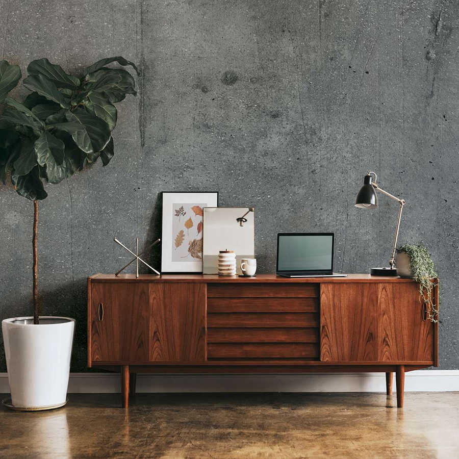 Sideboard, Holzschrank, Mid-century, Laptop, Pflanze