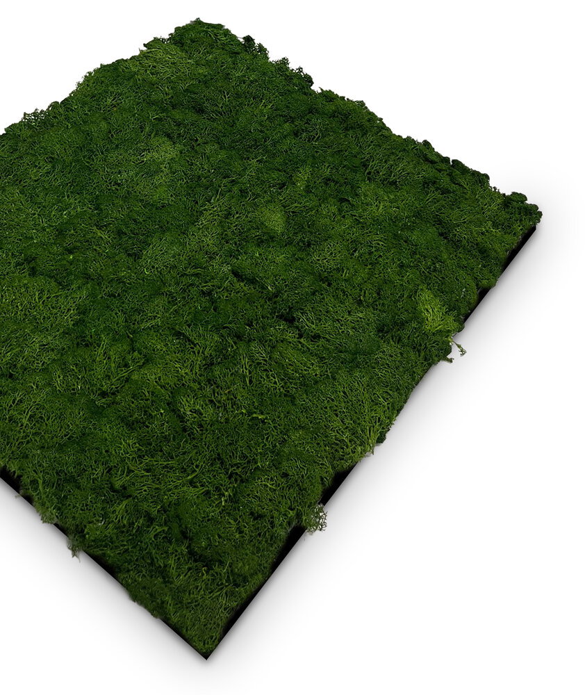 moosmatte, künstliches moos, grün, rasenmatte, moss panel