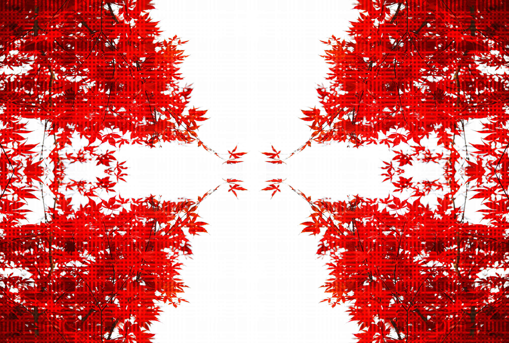             Natur Design Fototapete – Vliestapete mit roten Blättern in moderner Optik – Rot, Weiß
        