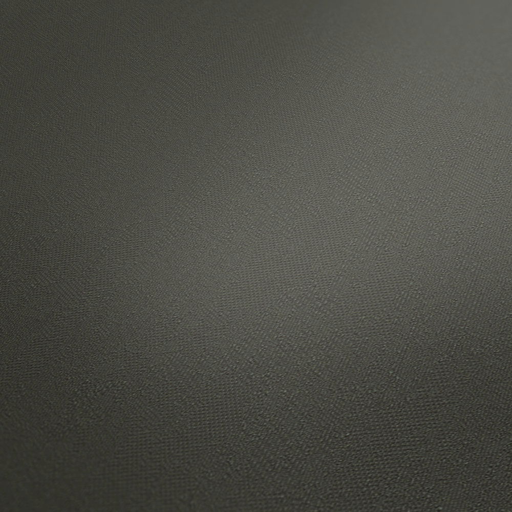             Vliestapete dunkles Khaki einfarbig, seidenmatt Finish – Grau
        