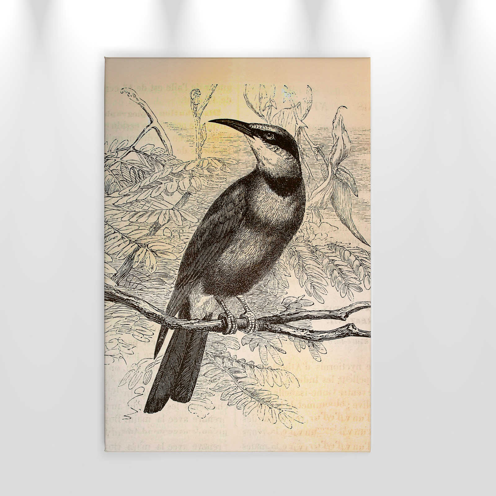 Retro Leinwandbild mit Vogel Muster – 0,60 m x 0,90 m