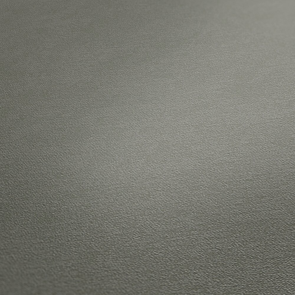 Non-woven wallpaper, single-coloured, finely textured surface | A.S.