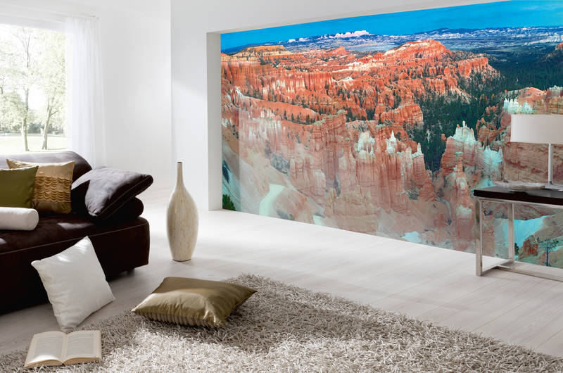 wandbild, zimmerwand, landschaftsbild, poster, fototapete