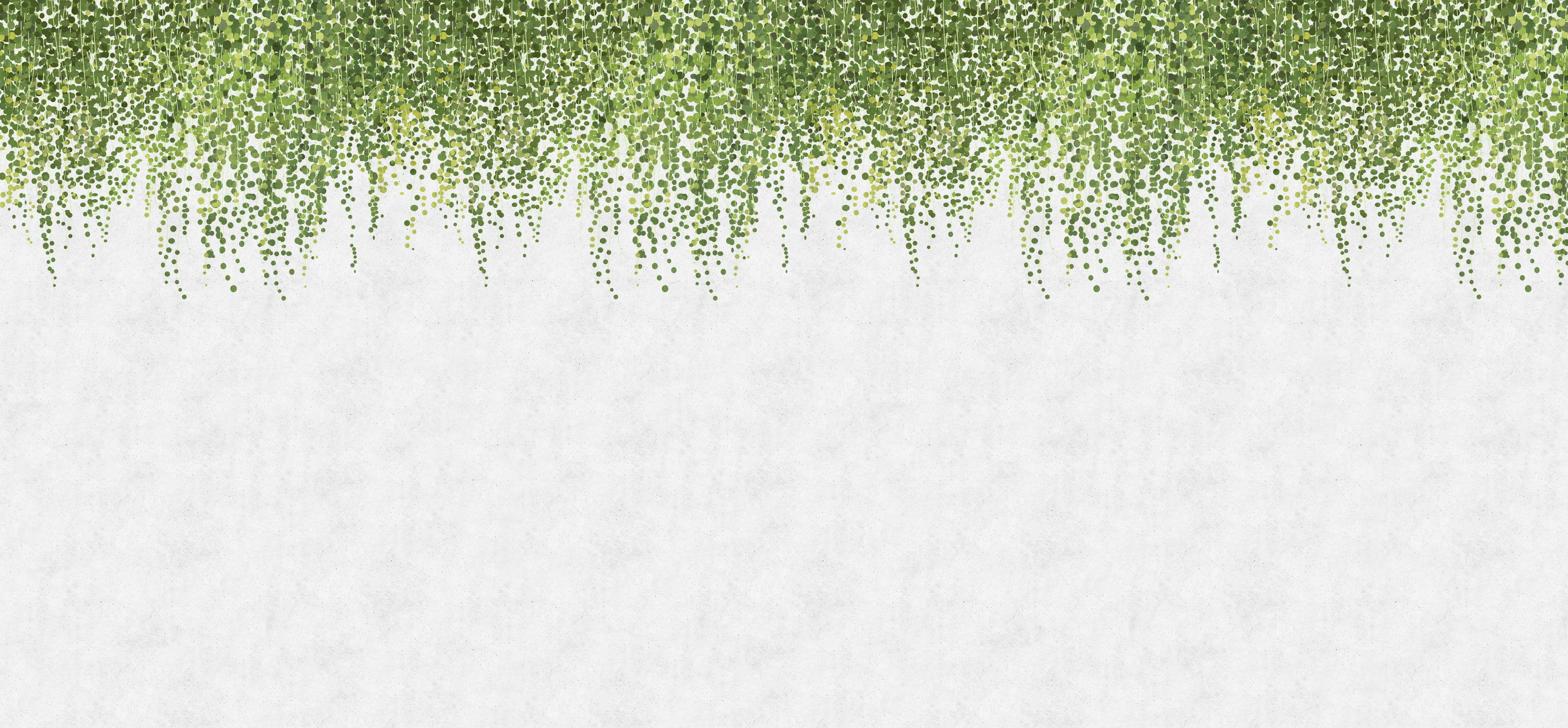 Blatt, Pflanze, Rebe, Kräuter