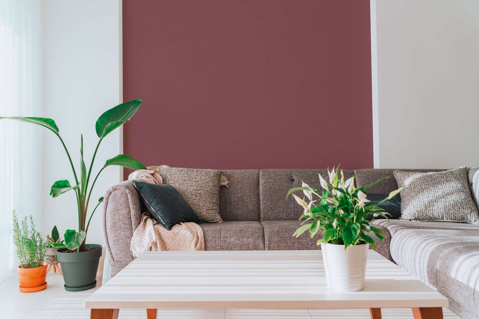 Innenarchitektur, Pflanze, Tabelle, Dekoration für Zuhause, Couch