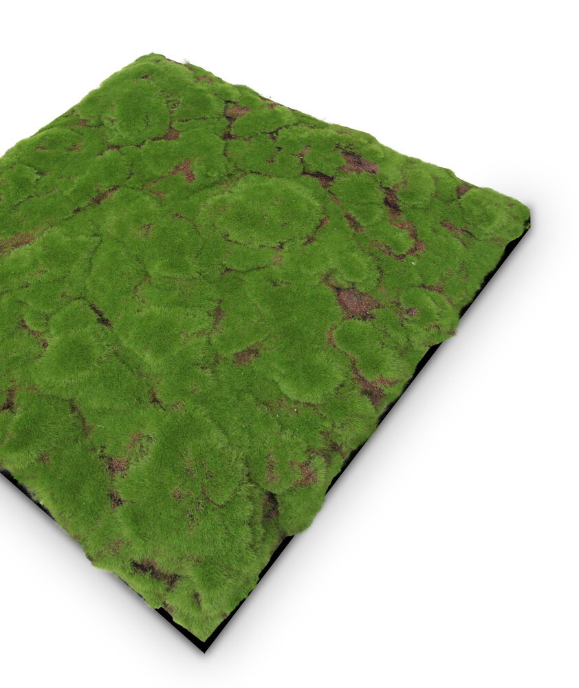 samtig, grün, matsche, teppich, moss-teppich