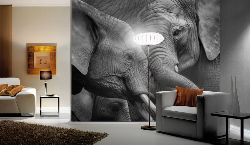 elephant mural, wandbild wand, wohnzimmer, sofa, bodenlampe