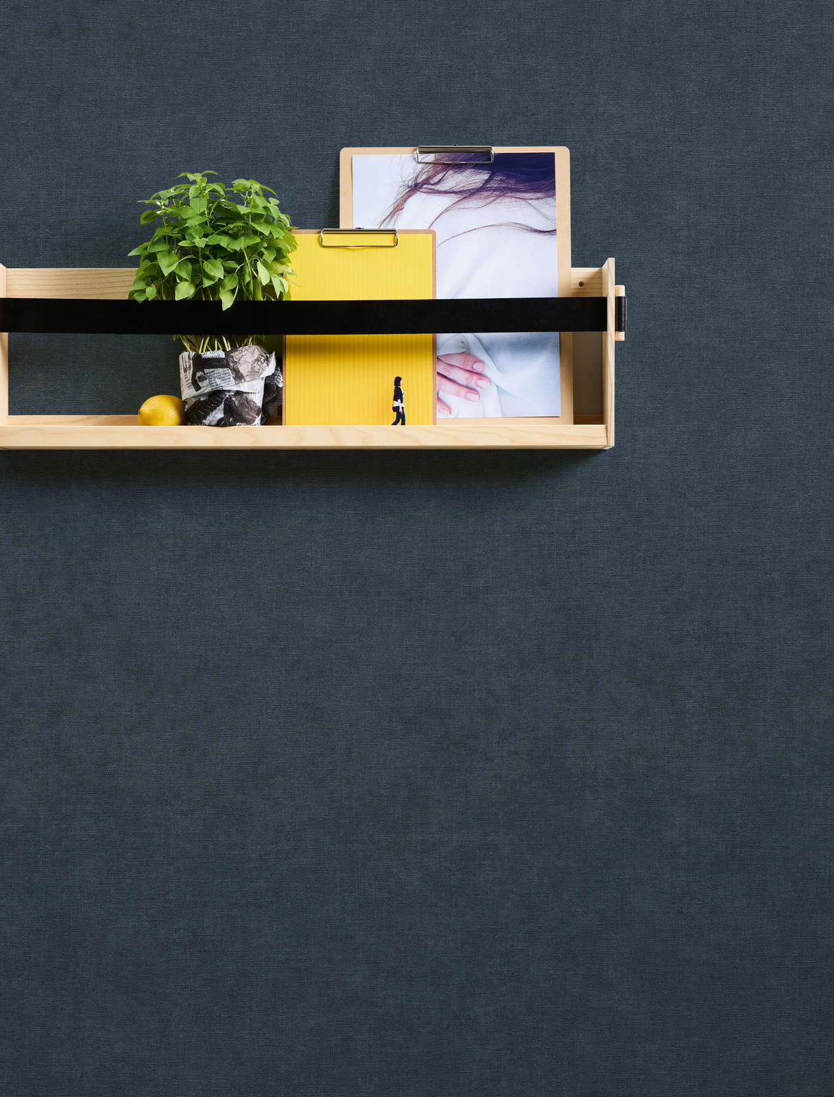 Ablage, Drinnen, Innenarchitektur, Pflanze, Mobiliar