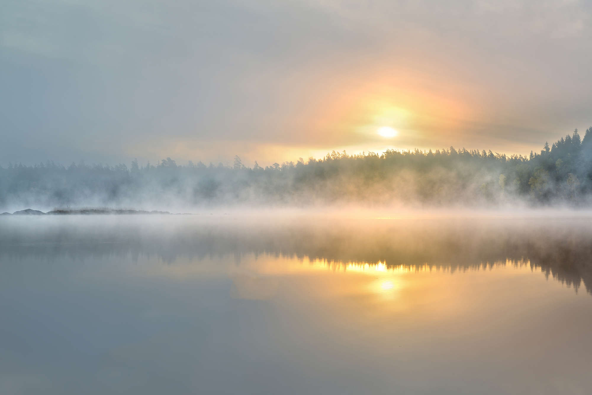 see-through lake, sonnenaufgang, nebel, wasserreflexion, waldufer