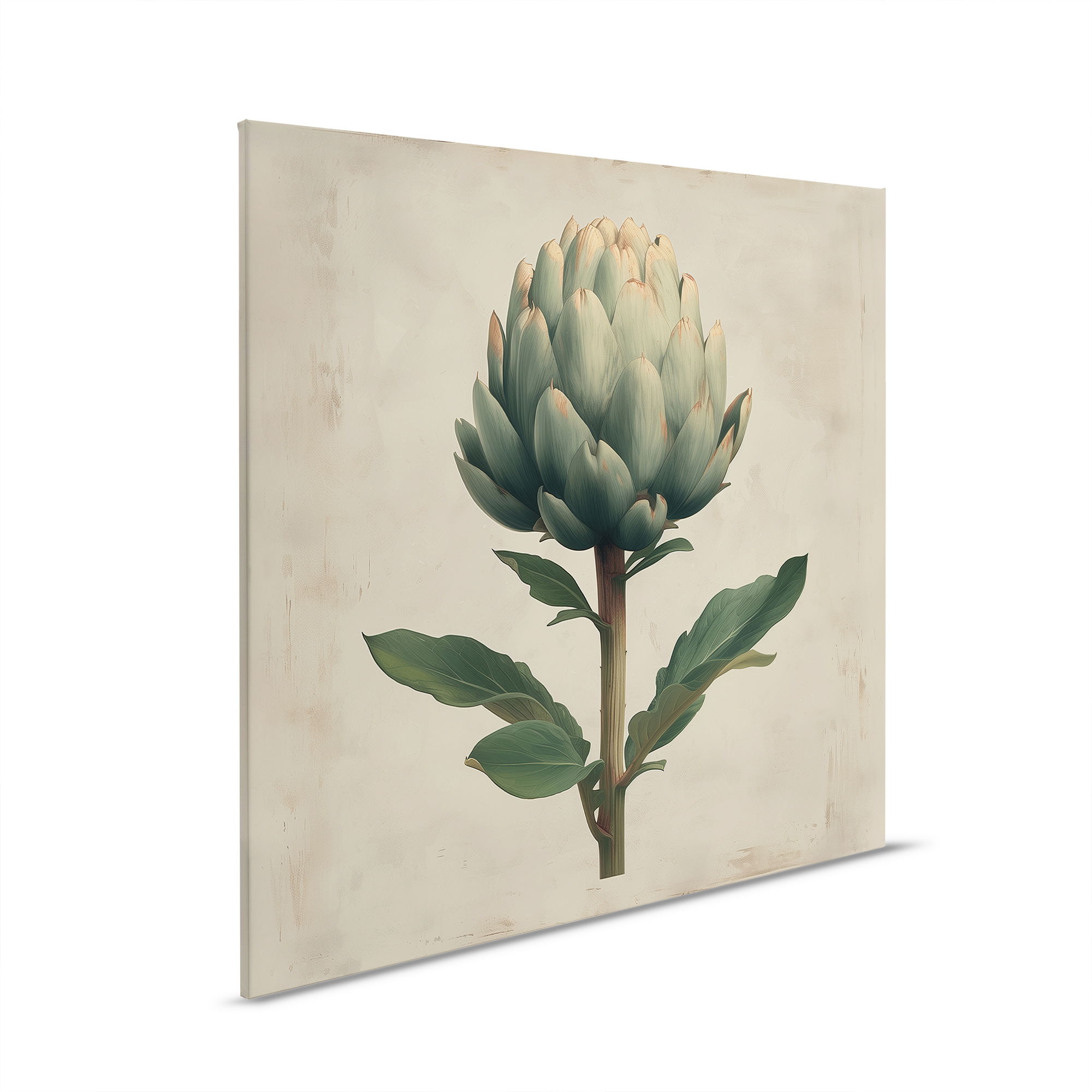         Artisjok canvas kunst - Botanische elegantie voor je muren - 30 x 30 cm - Crème, Beige
    