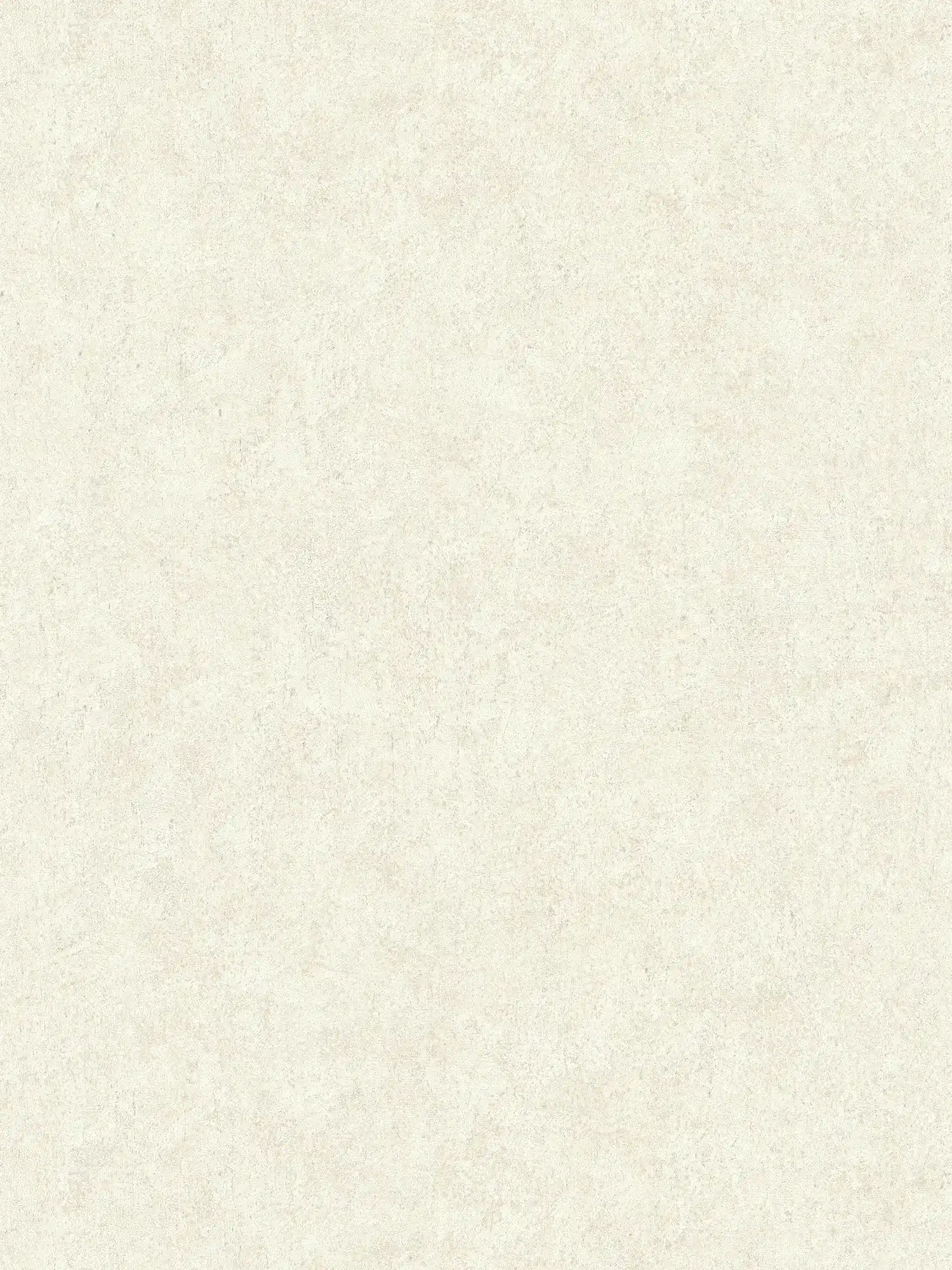             Creme Tapete Putzoptik mit flächiger Strukturprägung
        