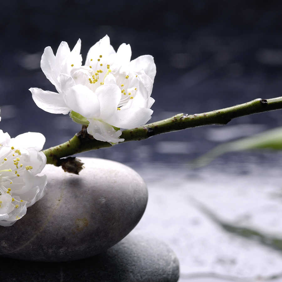 Blume, Weiße Blüte, Stein, Stein-Stapel, Zen-Steine