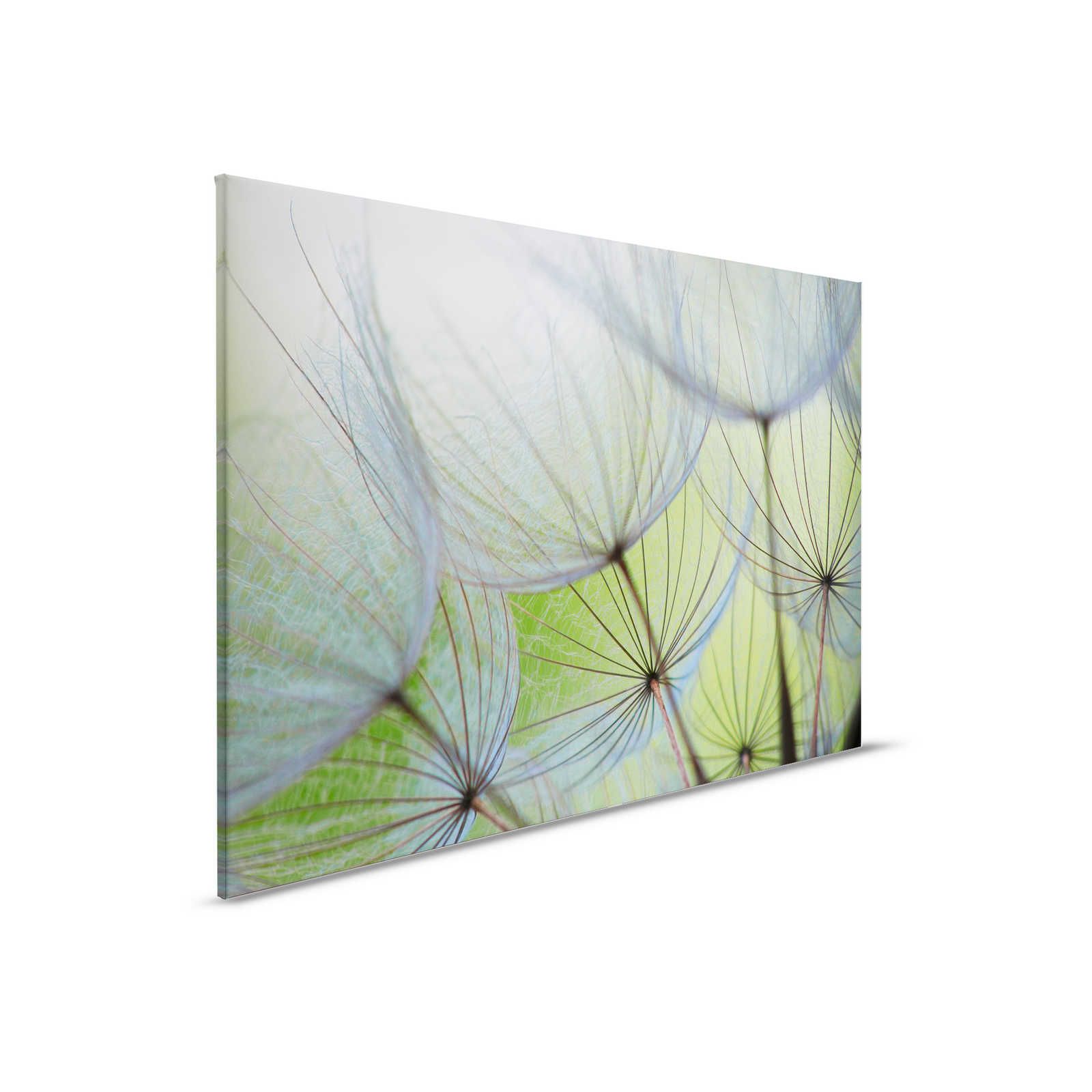             Leinwandbild Detailaufnahme mit Pusteblumen – 0,90 m x 0,60 m
        