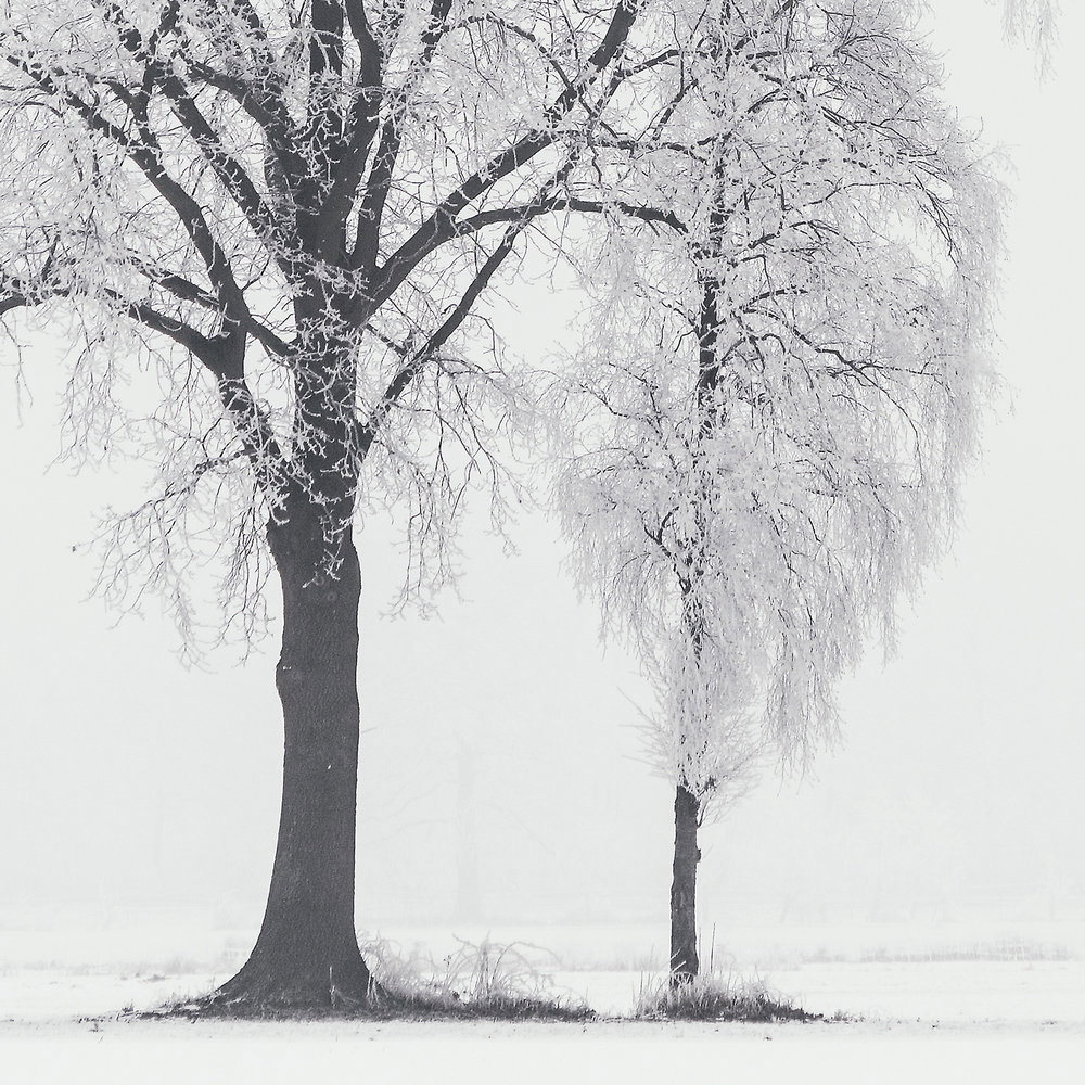             Architects Paper Fototapete AP Digital 4
        