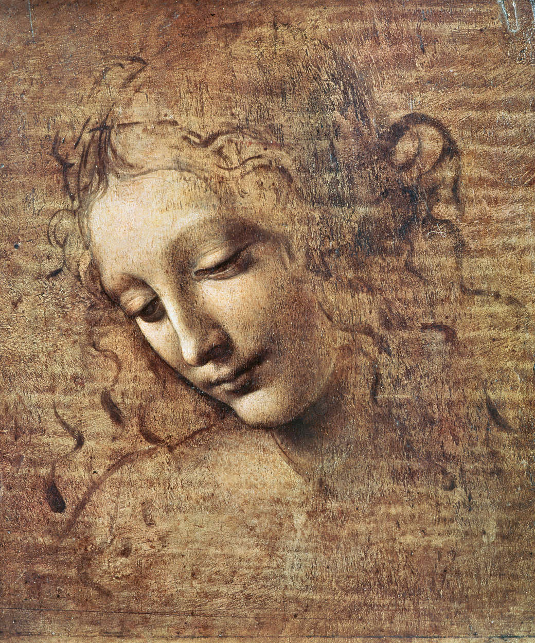             Fototapete 'Kopf einer jungen Frau mit zerzaustem Haar ' von Leonardo da Vinci
        