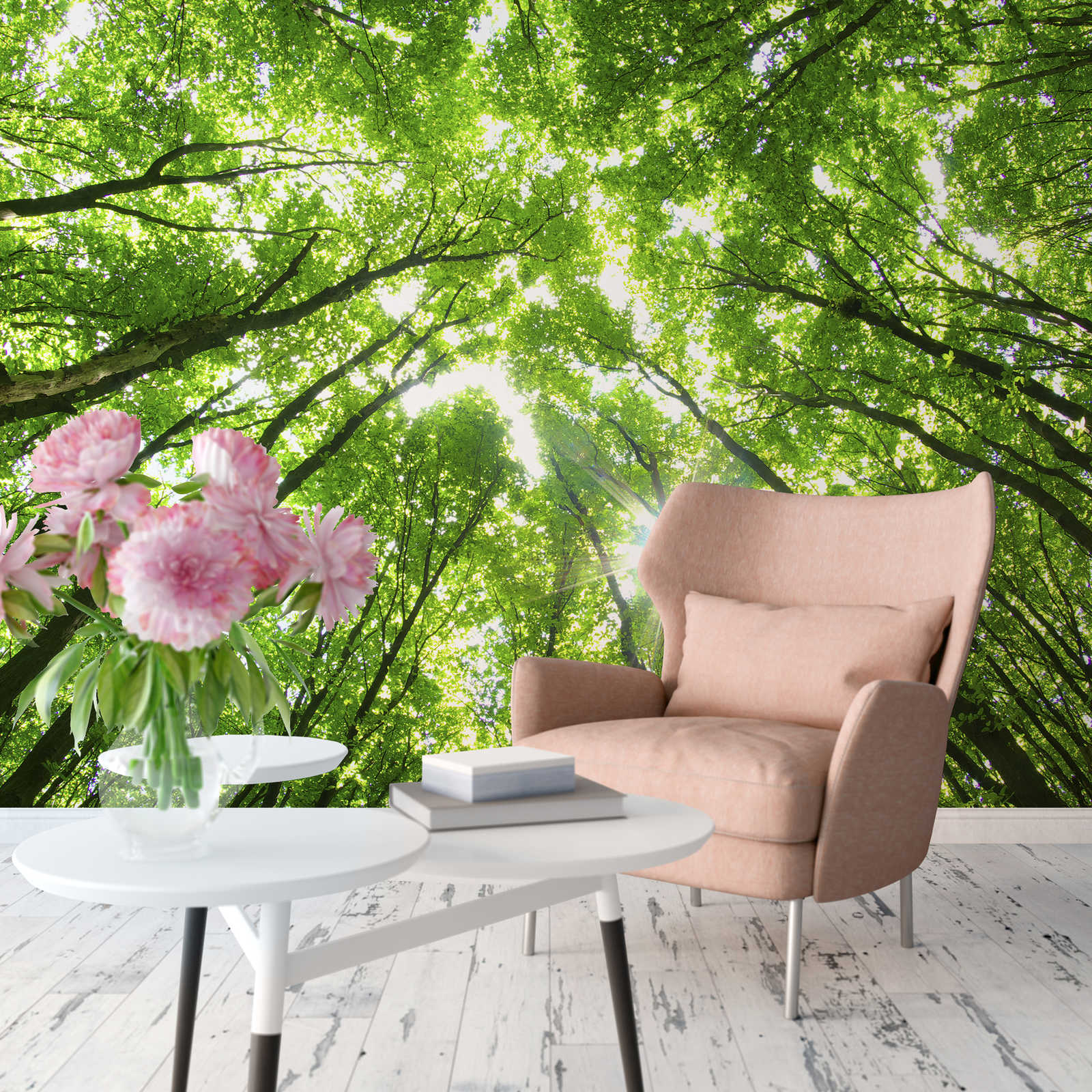             Fototapete Bäume mit Lichteinfall – Grün, Braun, Weiß
        