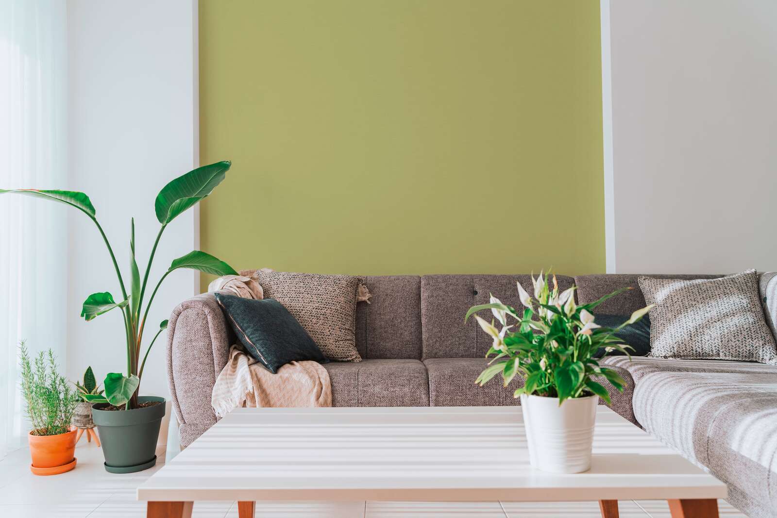 Innenarchitektur, Couch, Tabelle, Pflanze, Dekoration für Zuhause