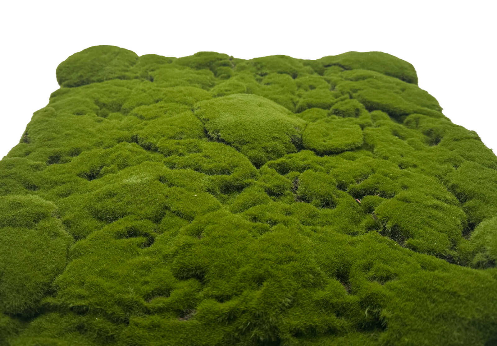 Moss, Mousse (Moss), Grüner Teppich, Moosboden, Moosbelag