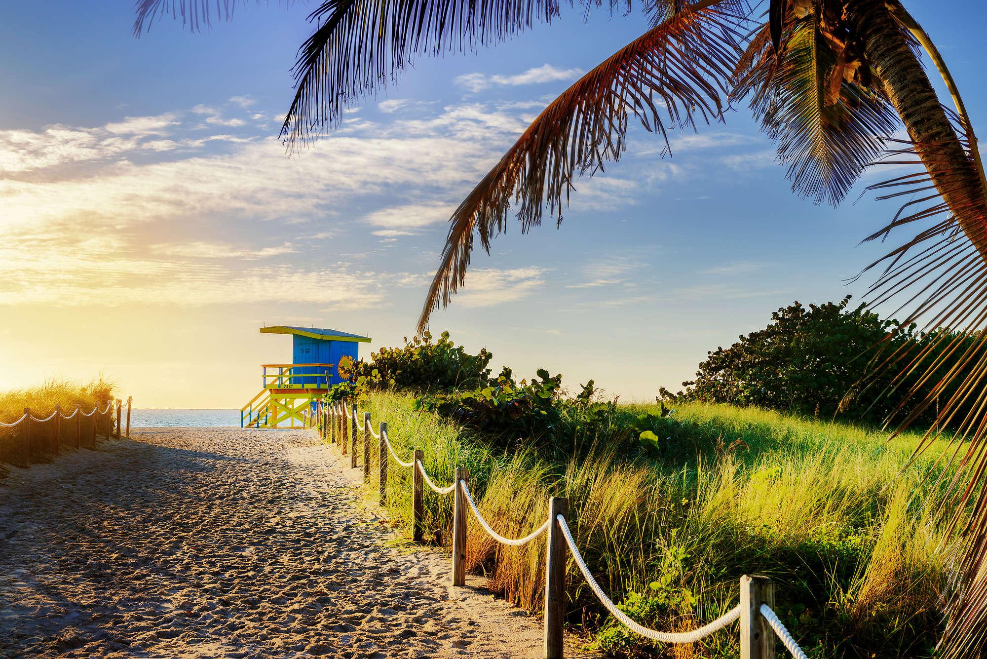 strand, sonnenuntergang, see, palme, lifeguard hut