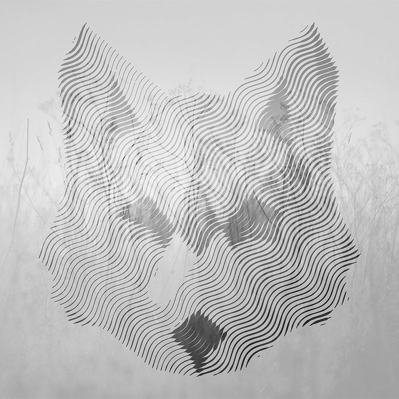 Kunst, Zeichnen, Säugetier, Tierwelt, Zebra