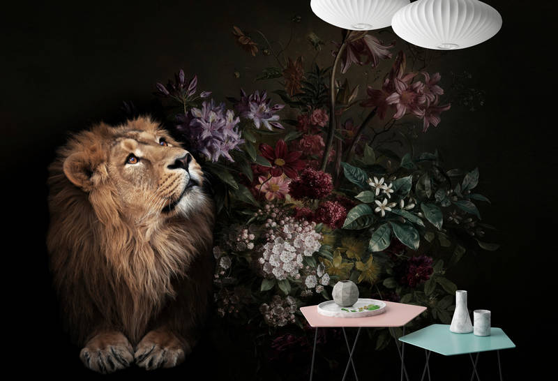 Tier, Löwe, Säugetier, Tierwelt, Lampe