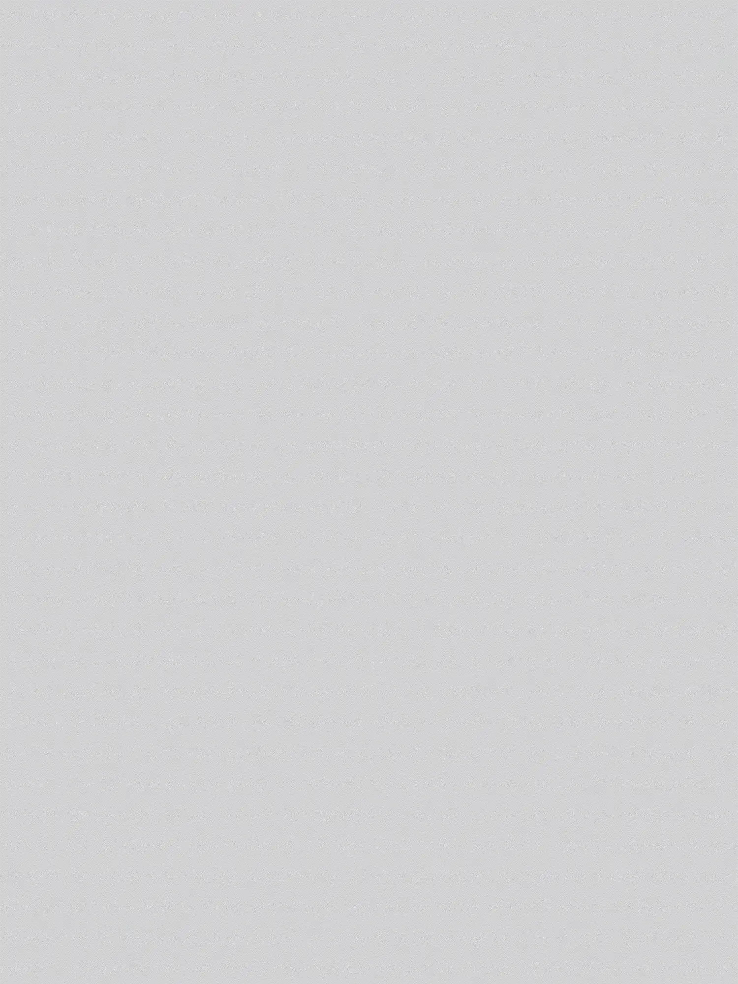         XXL vliesbehang - 'Das Uni' van behangwinkel - 1,06m dubbele breedte - eenkleurig en subtiel gestructureerd - steengrijs
    