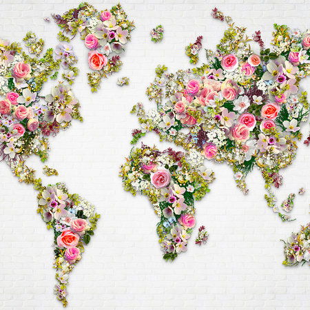         Papier peint panoramique Roses & fleurs comme carte du monde sur un mur blanc
    