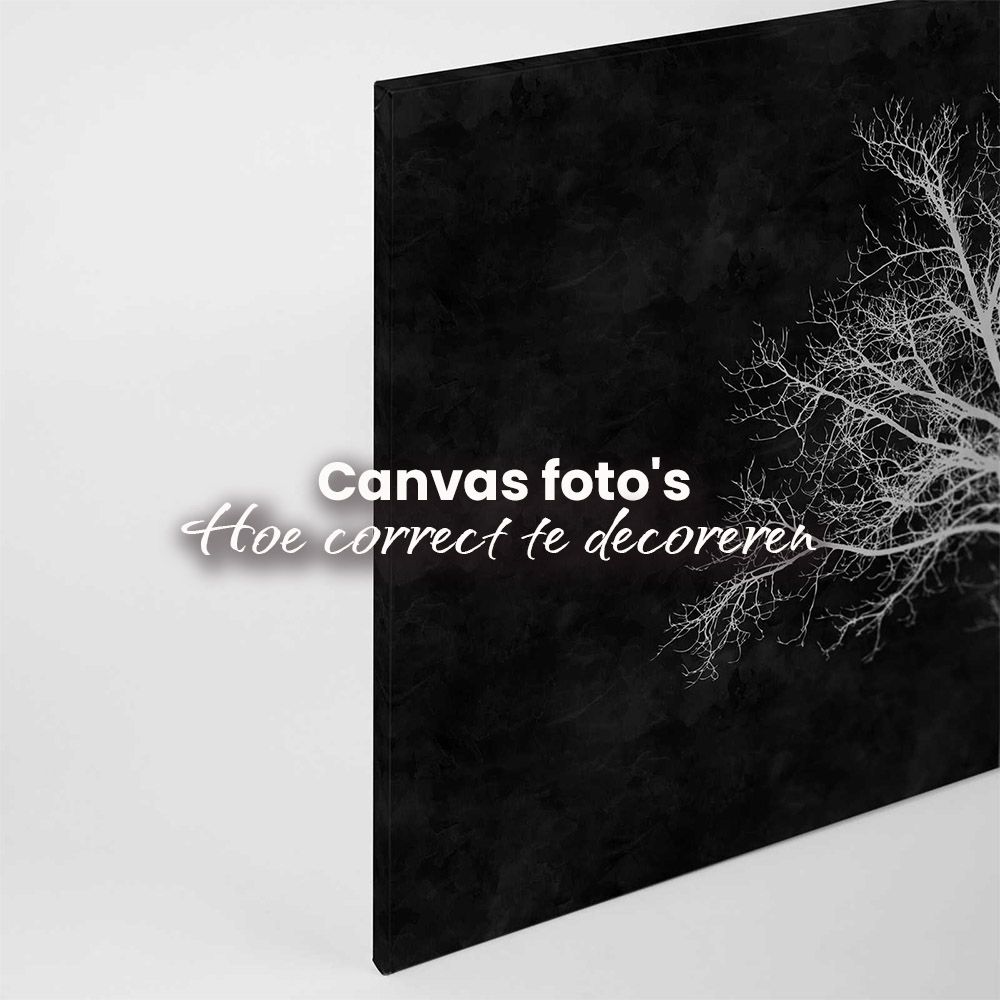 canvas fotos hoe correct te decoreren