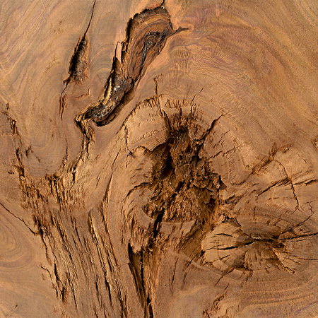 holz, stamm, baumring, schnitt, naturholz
