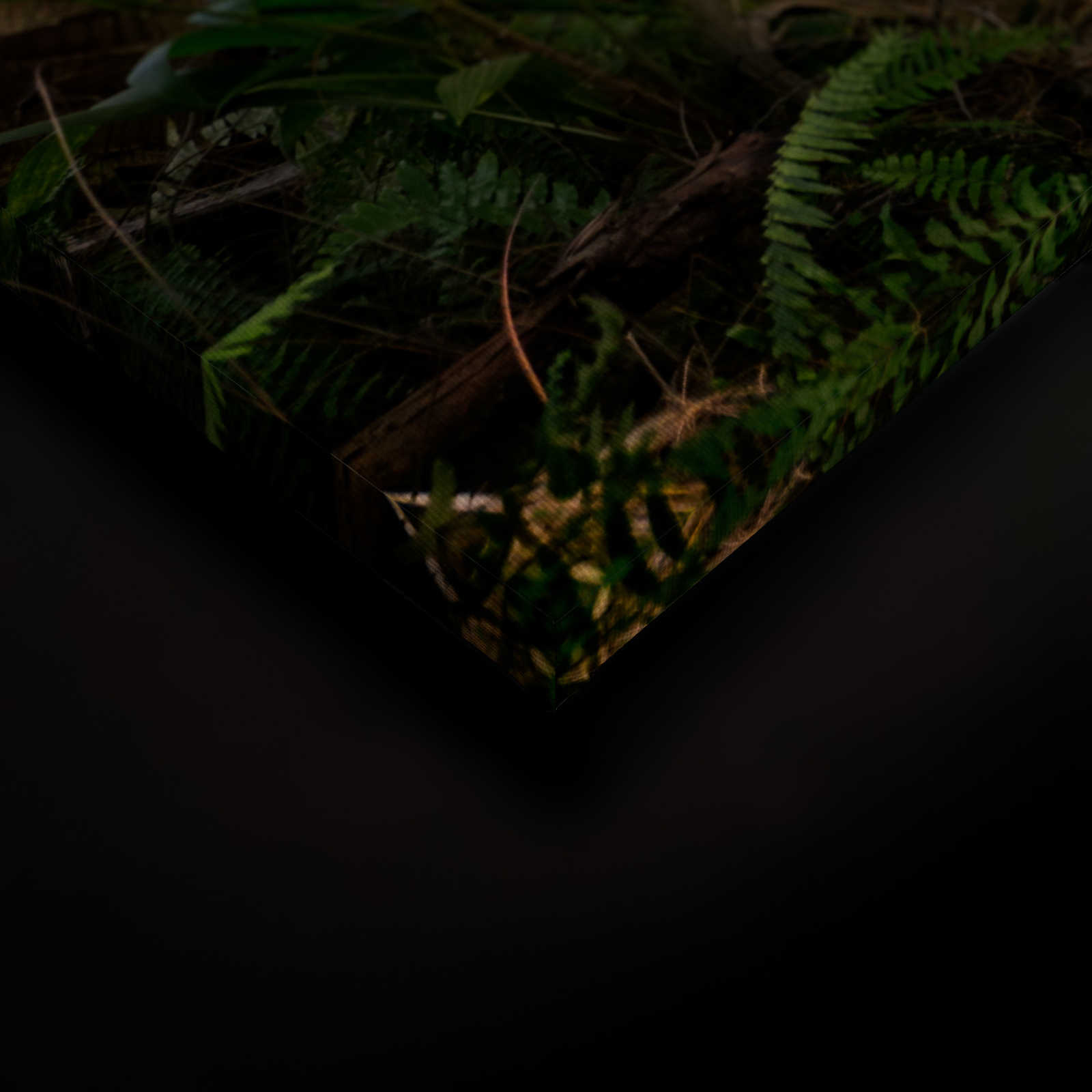             Leinwand mit Palmenweg durch eine tropische Landschaft – 0,90 m x 0,60 m
        