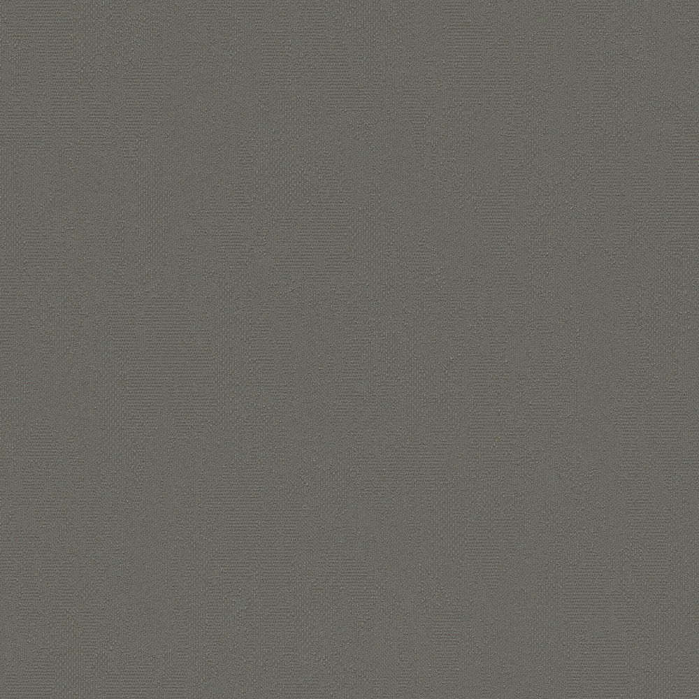             Vliestapete dunkles Khaki einfarbig, seidenmatt Finish – Grau
        