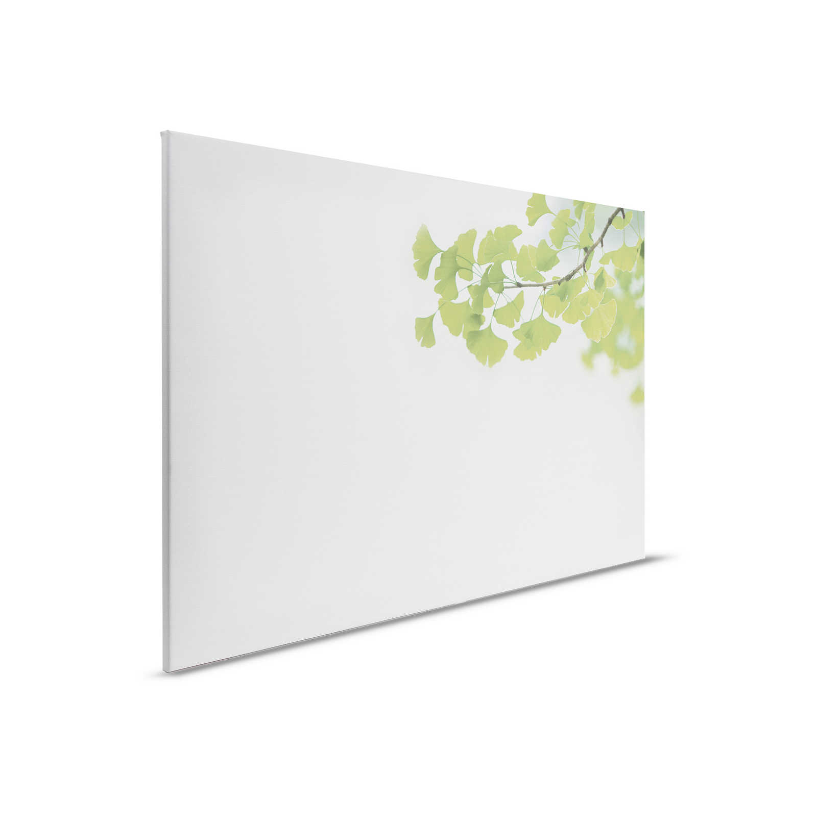         Canvas schilderij met afbeelding van Ginko tak | groen, wit - 0.90 m x 0.60 m
    