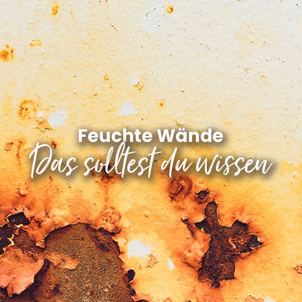 Feuchte Wände verhindern