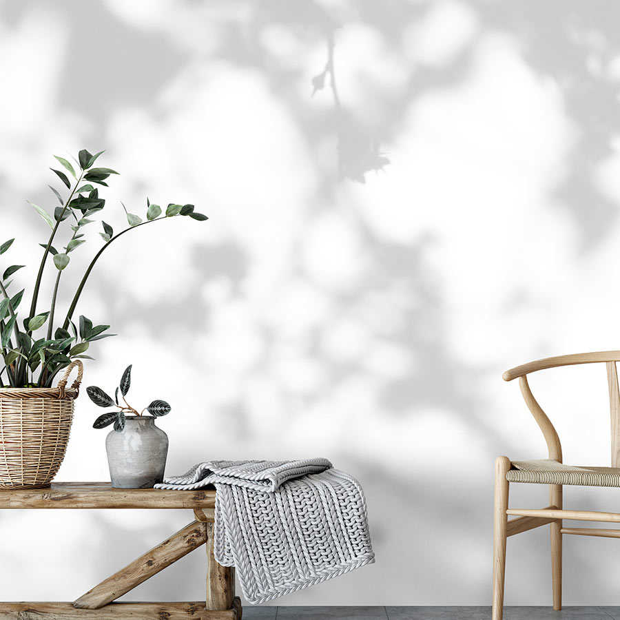 Pflanze, Pflanze im Topf, Drinnen, Innenarchitektur