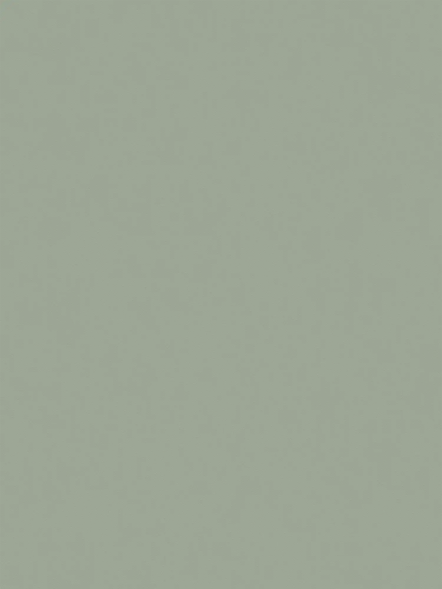         XXL non-woven wallpaper - "Das Uni" from wallpaper shop - 1.06m double width - single-coloured and subtly textured - green
    