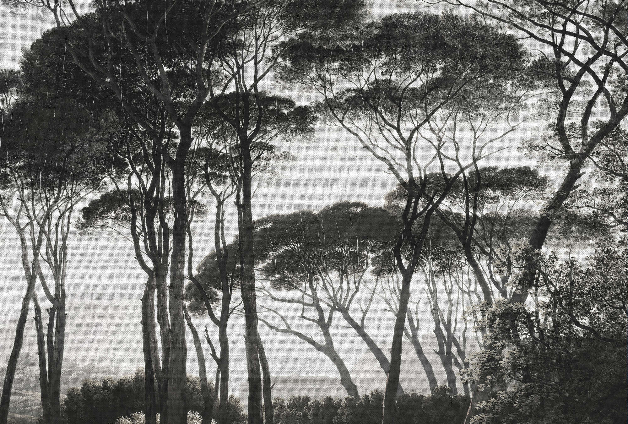 Kunst, Malerei, Pflanze, Baum, Bewuchs