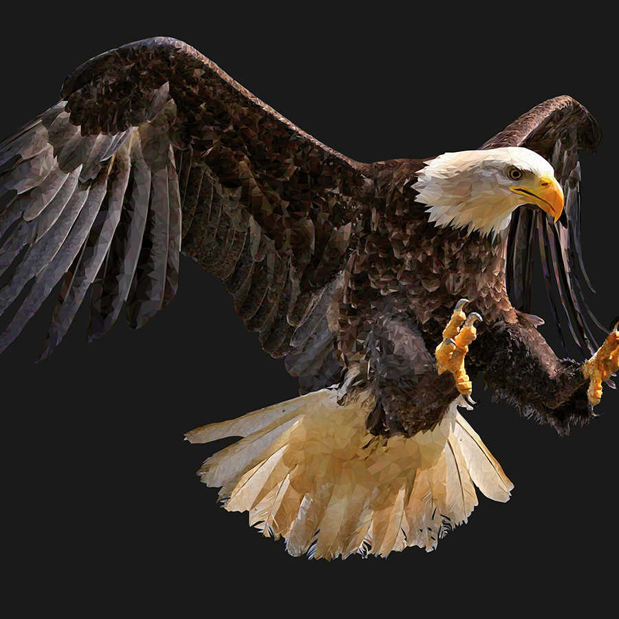 Adler, Eagle, Flugbild, Porträt, Falke
