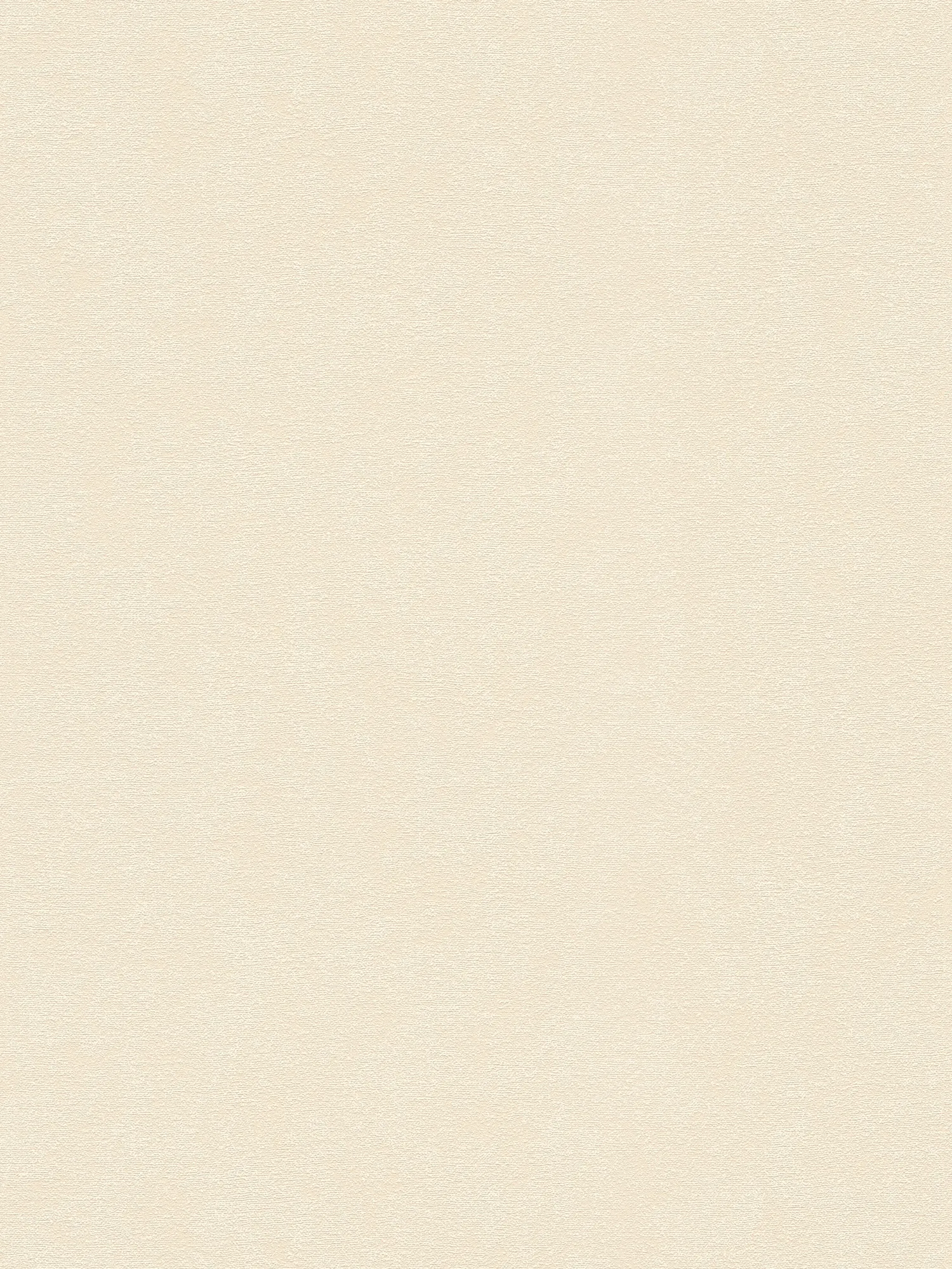 Zarte Uni Struktur Vliestapete mit feiner Prägung und mattem Finish – Beige, Beige, Creme