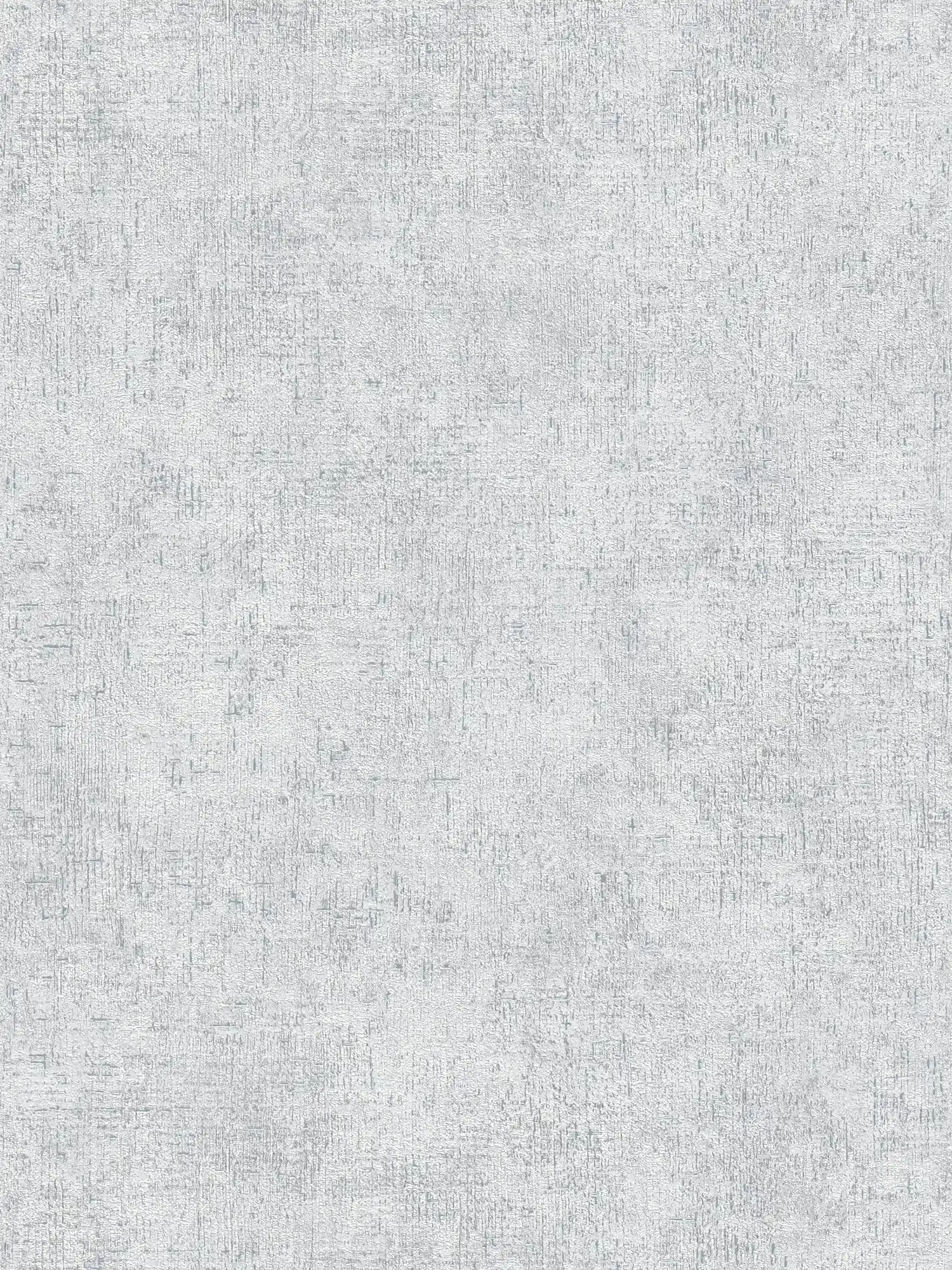         Non-woven wallpaper rustic plaster structure - grey
    