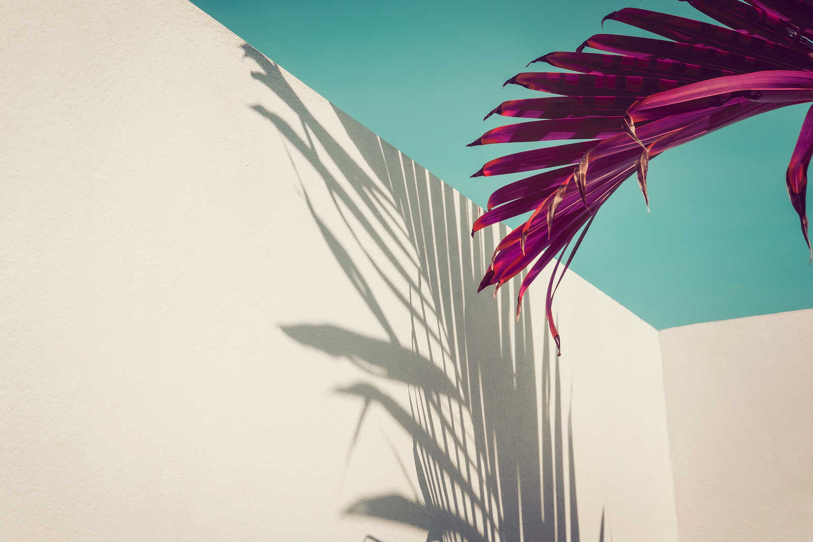 Leinwandbild mit Palmblatt und Schatten an Betonwand – 0,90 m x 0,60 m