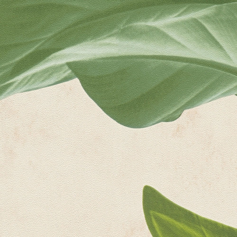             Vliestapete mit modernem Blätter-Design – Creme, Grün
        