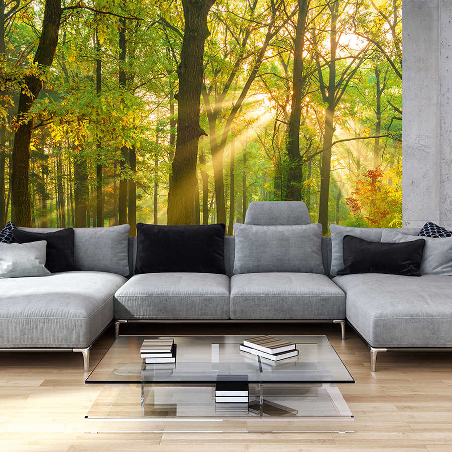         Papier peint nature avec motif de forêt de chênes sur intissé lisse premium
    